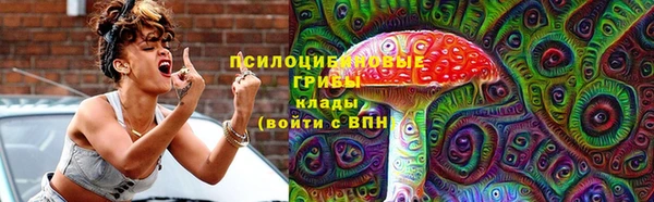 первитин Заводоуковск